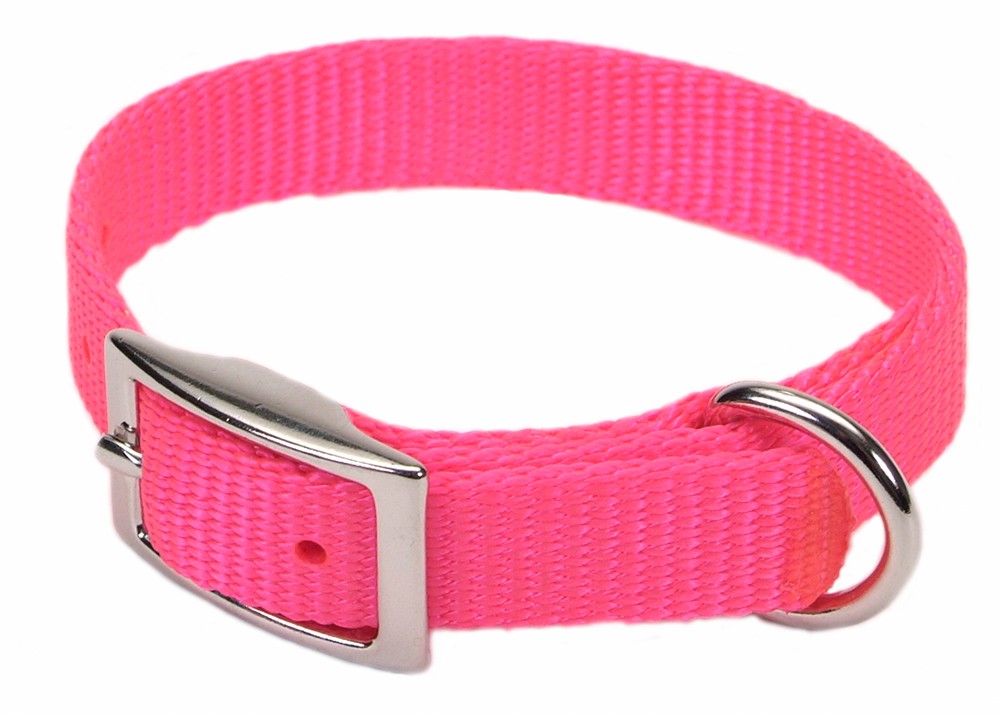 Coastal SinglePly Nylon Dog Collar Neon Pink 1ea/5/8 In X 14 in Pet