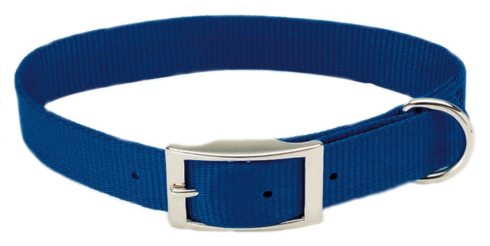 Coastal SinglePly Nylon Dog Collar Blue 1ea/3/4 In X 18 in Pet