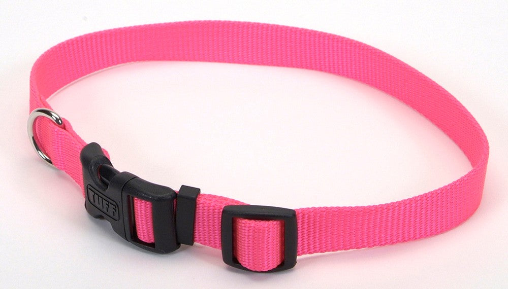 Coastal Adjustable Nylon Dog Collar with Plastic Buckle Neon Pink 1ea